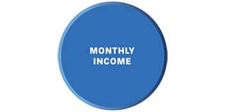 Monthly income